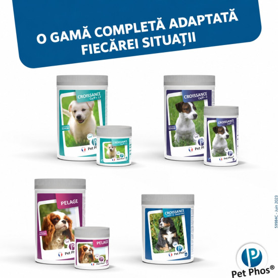 PET PHOS Croissance Grand Chien, 100 comprimate – suport mineral și vitaminic pentru juniori de talie mare